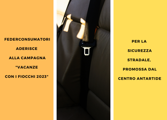 feder aderisce vacanze con i fiocchi 2023.png